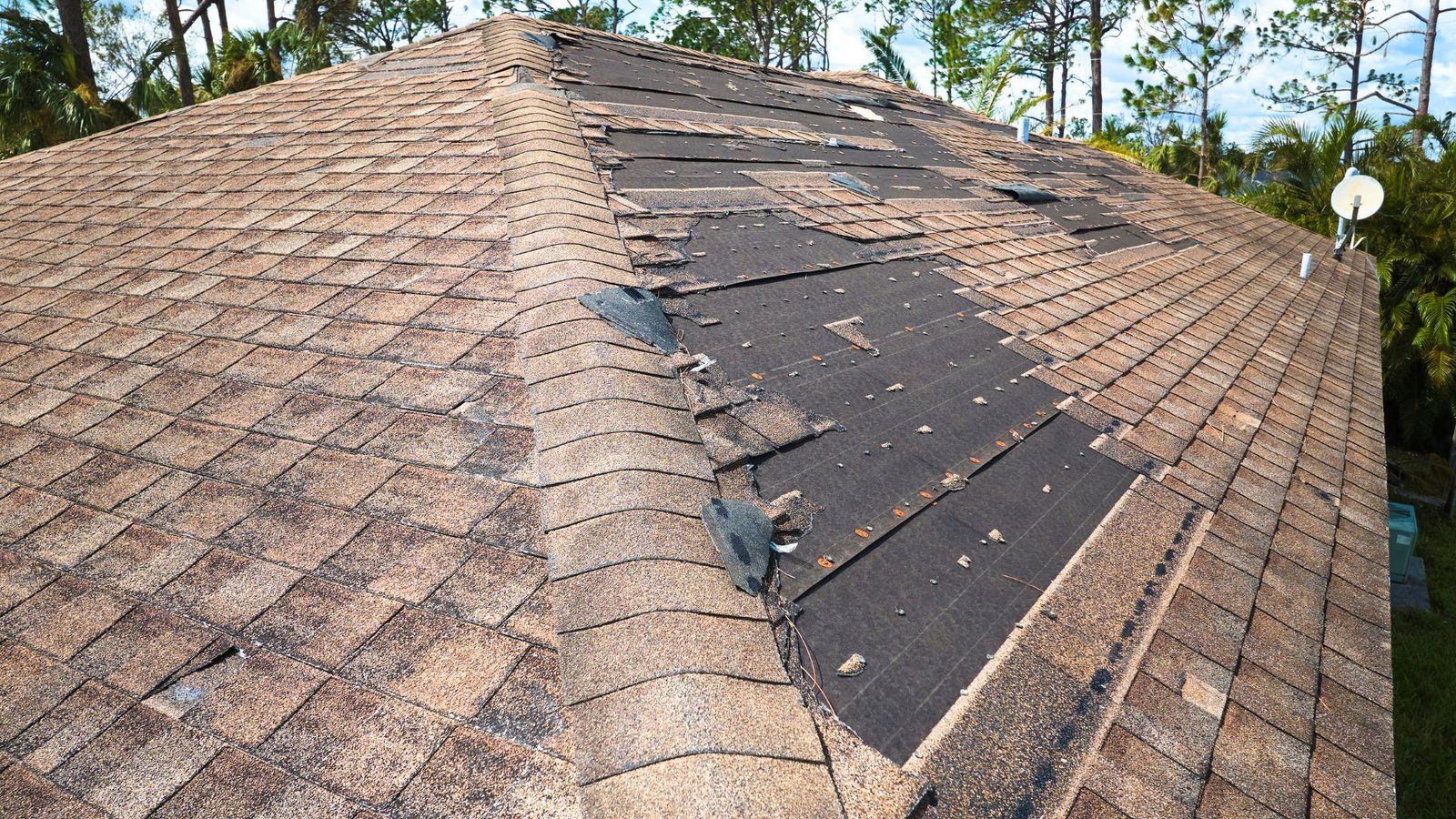 Missing Shingles Missing Shingles